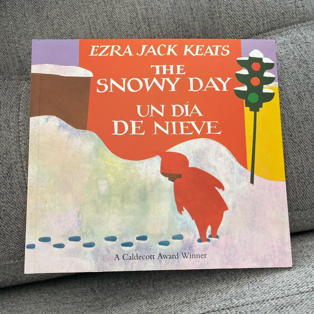 ⭐️the snowy day paperback